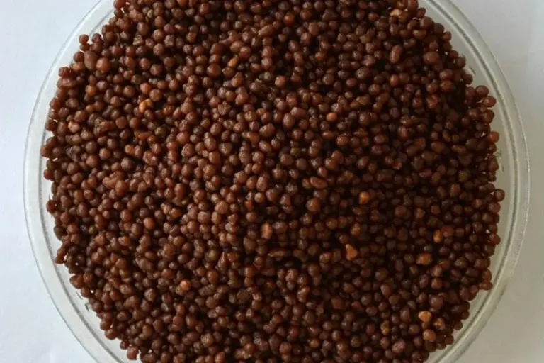 BB Fertilizer Raw Material 2