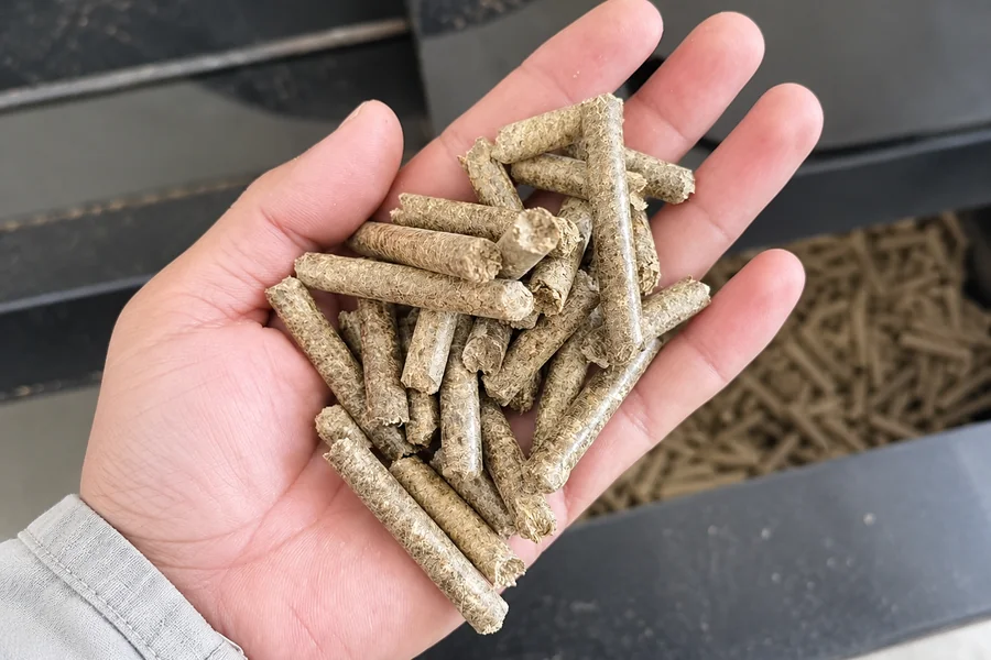 Biomass Fuel Pellets 3