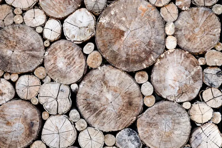 Biomass Raw Material 1