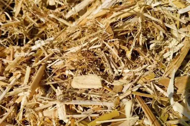 Biomass Raw Material 2