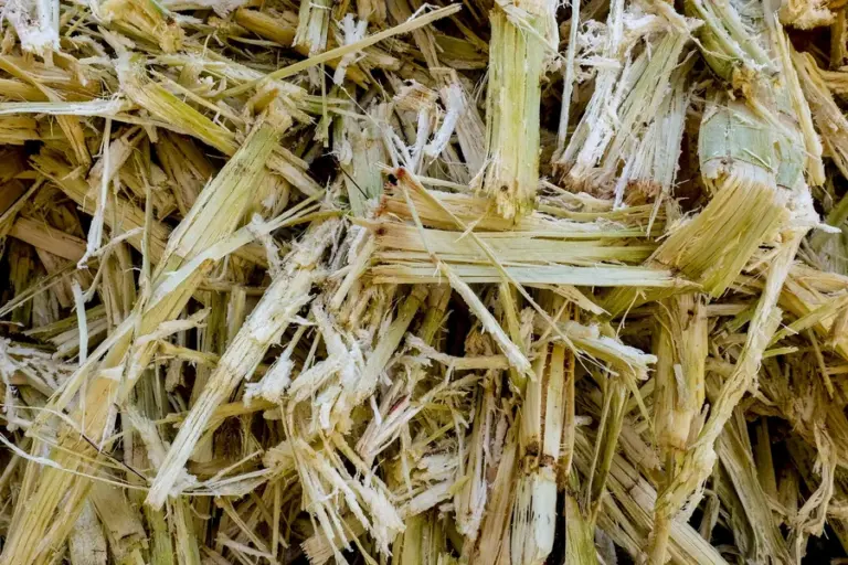 Biomass Raw Material 5