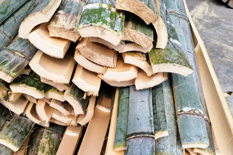 Biomass Raw Material 6