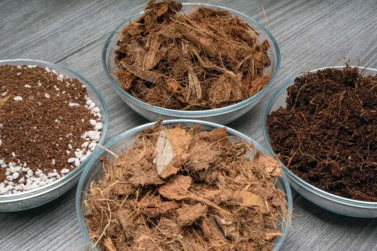 Nutrient Soil Raw Material 1