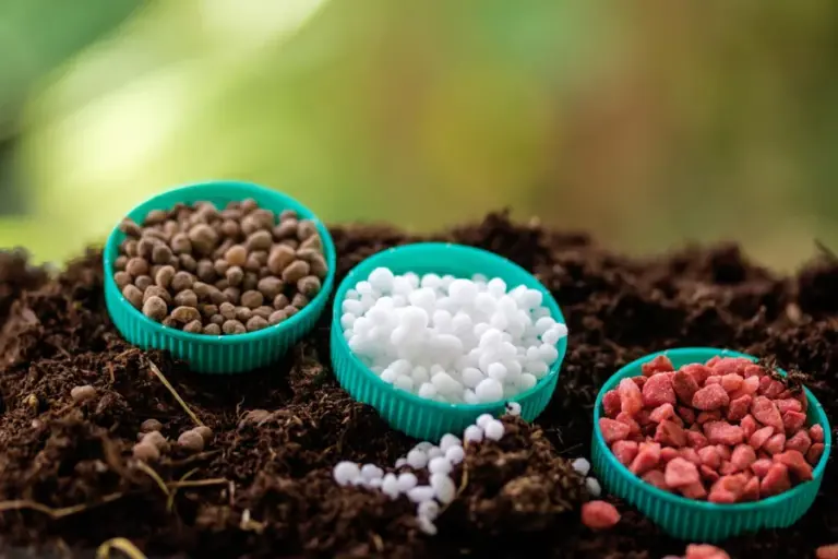 Nutrient Soil Raw Material 3